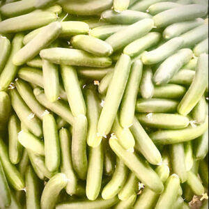 Accueil Concombre bio